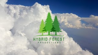 Hybrid Forest Productions Demo Reel 2019