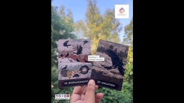 **BE GOOD. BUT ALSO, TAKE NO SHIT!** Message in pinned comment #timeless #oracle #message #crow