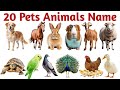20 पालतू जानवरों की दुनिया |20 Pets Namesin English for Kids Early Learning and Vocabulary Building