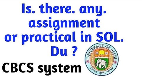 IS THERE ARE ANY ASSIGNMENT IN DU SOL CBCS SYSTEM ?