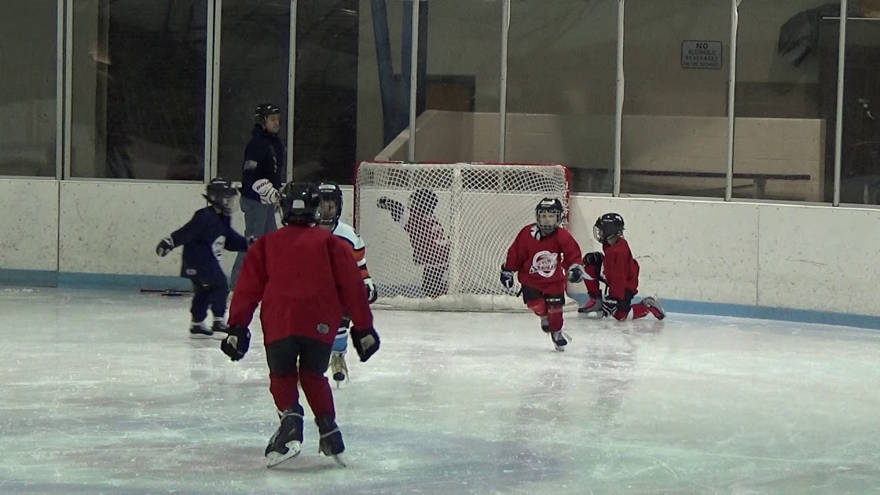 Hockey Jett and Sebastian 1 29 2020 Sijan Films 2 YouTube