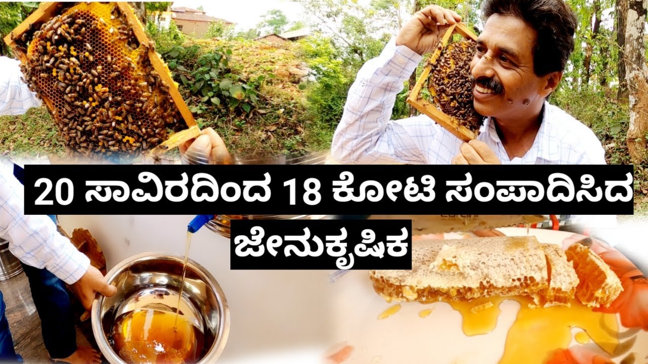 20 ಸಾವಿರದಿಂದ 18 ಕೋಟಿ ಸಂಪಾದಿಸಿದ ಜೇನುಕೃಷಿಕ | Madhukeshwar Hegde | ಜೇನುಸಾಕಾಣಿ ಹೇಗೆ ಮಾಡೊದು ?