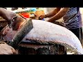 Amazing Cutting Skills | Giant Grouper Fish Skinning & Chopping In Bangladesh