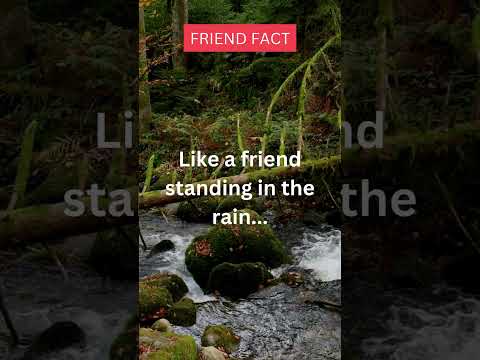 Like a friend standing in the rain.../English Quotes - beautiful motivational quotes in English