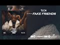 Miniature de la vidéo de la chanson Fake Friends