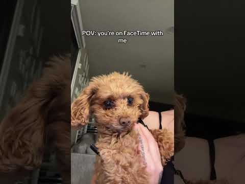 POV: you’re on FaceTime with me 🤭😂😂 #facetime #phonecall #trendingshorts #youtubeshorts