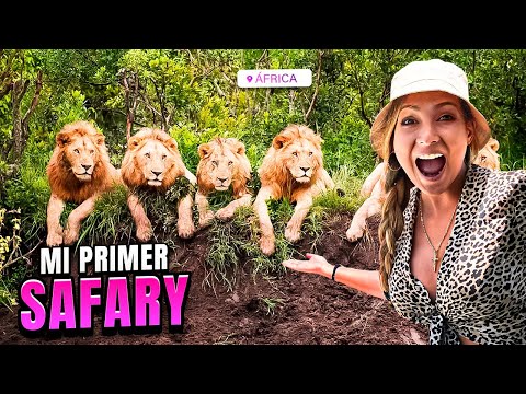 MI PRIMER SAFARI EN ÁFRICA - Leones devoran Jabalí | África Vlog #2