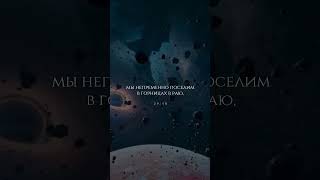 Сура аль Анкабут (паук)