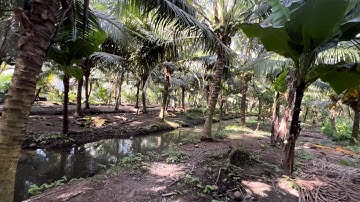 @T1964 Chủ Cắt Bán Một Công Đất Vườn 22 x 45 Giá 700 Triệu Tại Xã Long Hưng 