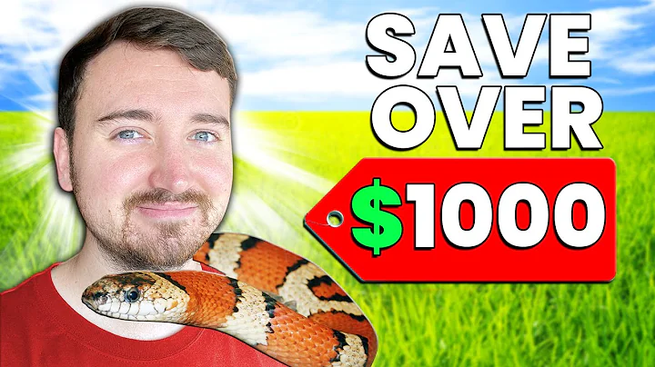 How To Save Money Keeping Reptiles