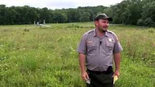 The Wheatfield: A Gettysburg Battle Walk - Ranger John Hoptak