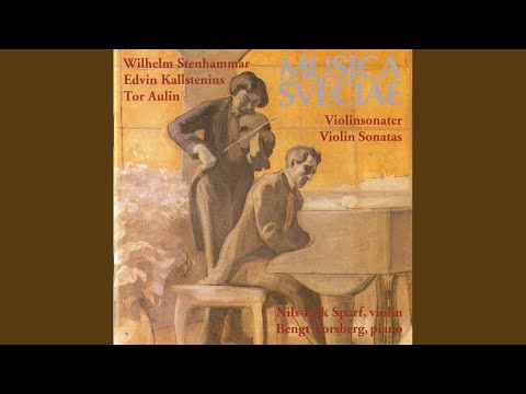 Violin Sonata in A Minor, Op. 19: I. Allegro con anima