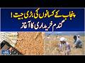 Punjab Wheat Procurement 2026 | Rs 3500 Per Maund Price | Farmers Relief Policy - Aaj Pakistan News