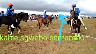 Sgwebo Sentambo