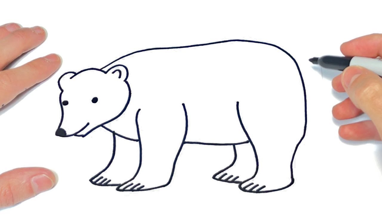 Cómo dibujar un Oso Polar Paso a Paso | Dibujo de Oso Polar - thptnganamst.edu.vn