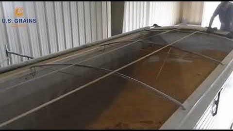 Unloading Trucks Of U.S. DDGS - Clip
