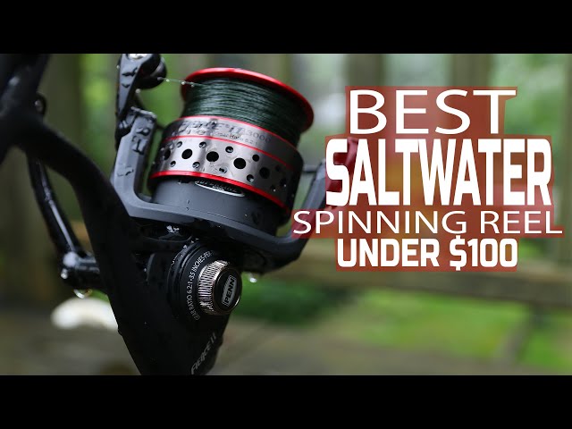 PENN FIERCE SALTWATER SPINNING REEL REVIEW - UNDER $ 100 