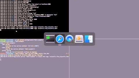 Fabio - A modern consul-aware HTTP routing load-balancer