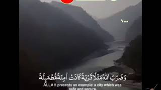 فارس عباد _ حاله واتس ( وَضَرَبَ اللَّهُ مَثَلًا قَرْيَةً كَانَتْ آمِنَةً مُّطْمَئِنَّةً )