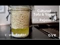 Cultured tofu & Yogurt with Rejuvelac