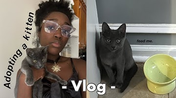 Adopting a KITTEN! (from START to FINISH) | vlog