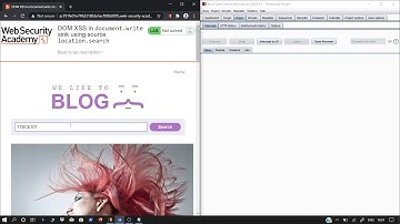 Lab: DOM XSS in document.write sink using source location.search |  IT7B4 Comprehensive Asgmt.