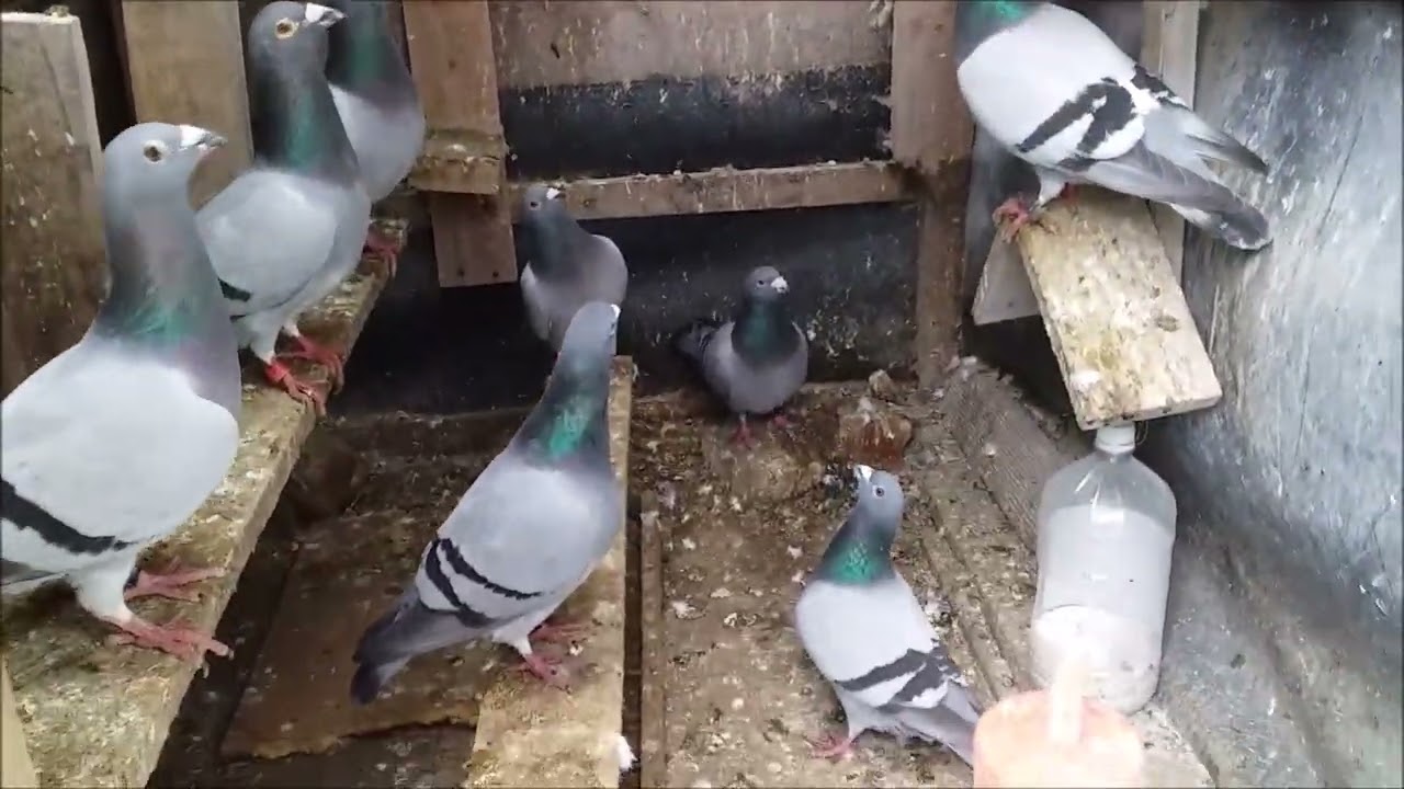 New Update Monday 18th August 2025