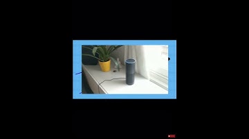 Amazon Alexa fail