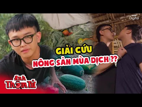 [TỔNG HỢP] GẮN MẮC "GIẢI CỨU" NÔNG SẢN, Trục Lợi Trắng Trợn Từ RAU CỦ QUẢ VÙNG DỊCH | Anh Thám Tử