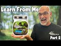 Continue Your Ecology Journey With Me Part 2 Continue Your Ecology Journey With Me Part 2
