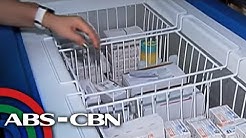 TV Patrol: Manufacturer, inusisa sa 'severe dengue' na epekto ng Dengvaxia