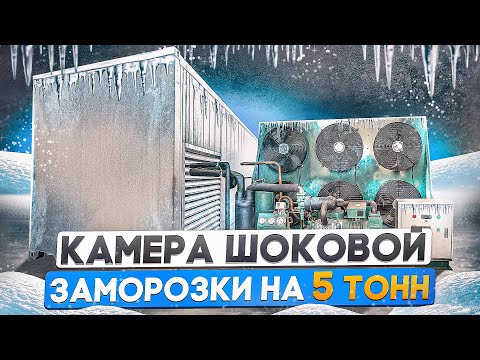 Морозильная камера шоковой заморозки на 6 тонн продукции