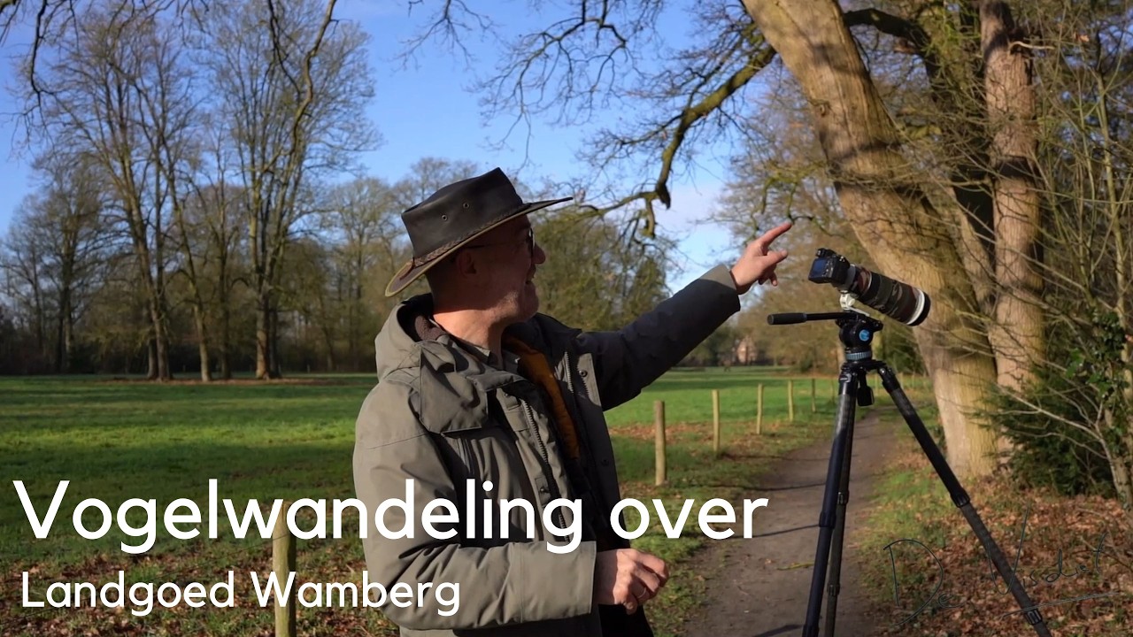 Vogelwandeling over Landgoed Wamberg bij Berlicum #1742
