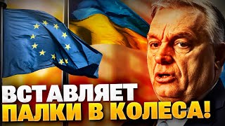 Орбан мешает Евроинтеграции Украины! Путь Киева в Евросоюз!