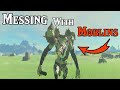 Messing with Moblins | The Legend of Zelda: Tears of the Kingdom
