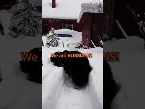 Video: Subkultūras Krievijā. No 