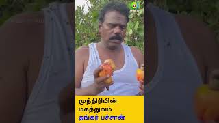 முந்திரியின் மகத்துவம் தங்கர் பச்சான் | thangarbachan cashew cashewfruit fenny economics