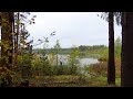 Осень и озеро Танай