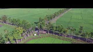 Download Lagu Syauqi - Sholawat Burdah MP3 Download Lagu Syauqi - Sholawat Burdah MP3