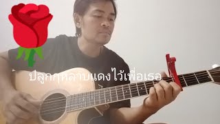 กุหลาบแดง - ไก่ พรรณนิภา /cover by แอ้ม กีต้าร์โปร่ง