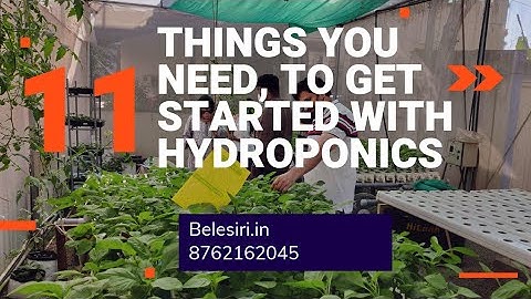 11 simple things you require to get started with hydroponics | Hydroponics for beginners