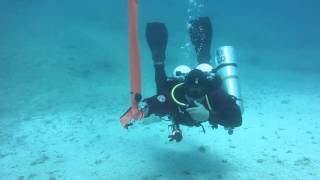 How to deploy a DSMB Net Worth