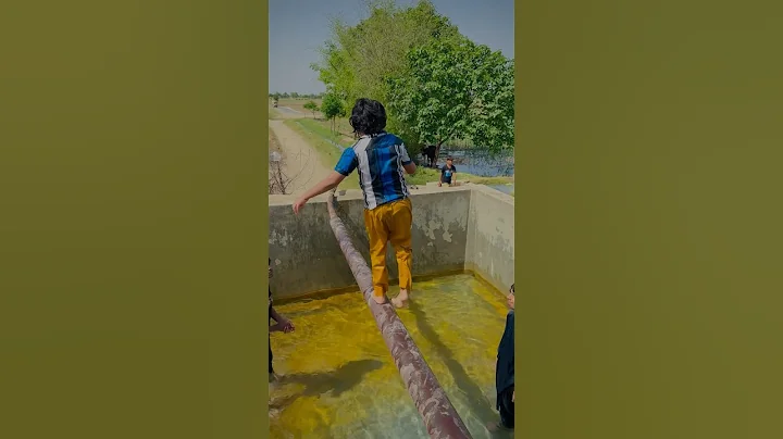 Ali swimming pool me gir gaya || #viral #trending #support #summerofshorts