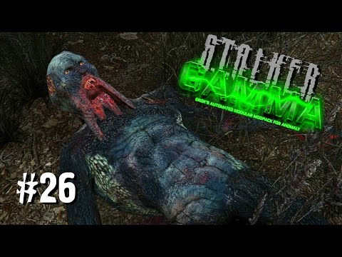 Видео: S.T.A.L.K.E.R. ANOMALY GAMMA ✪ ОДНА ЖИЗНЬ. ХАРДКОР ✪ #26 15 КРОВОСОСОВ