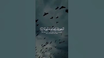 القران الكريم 570