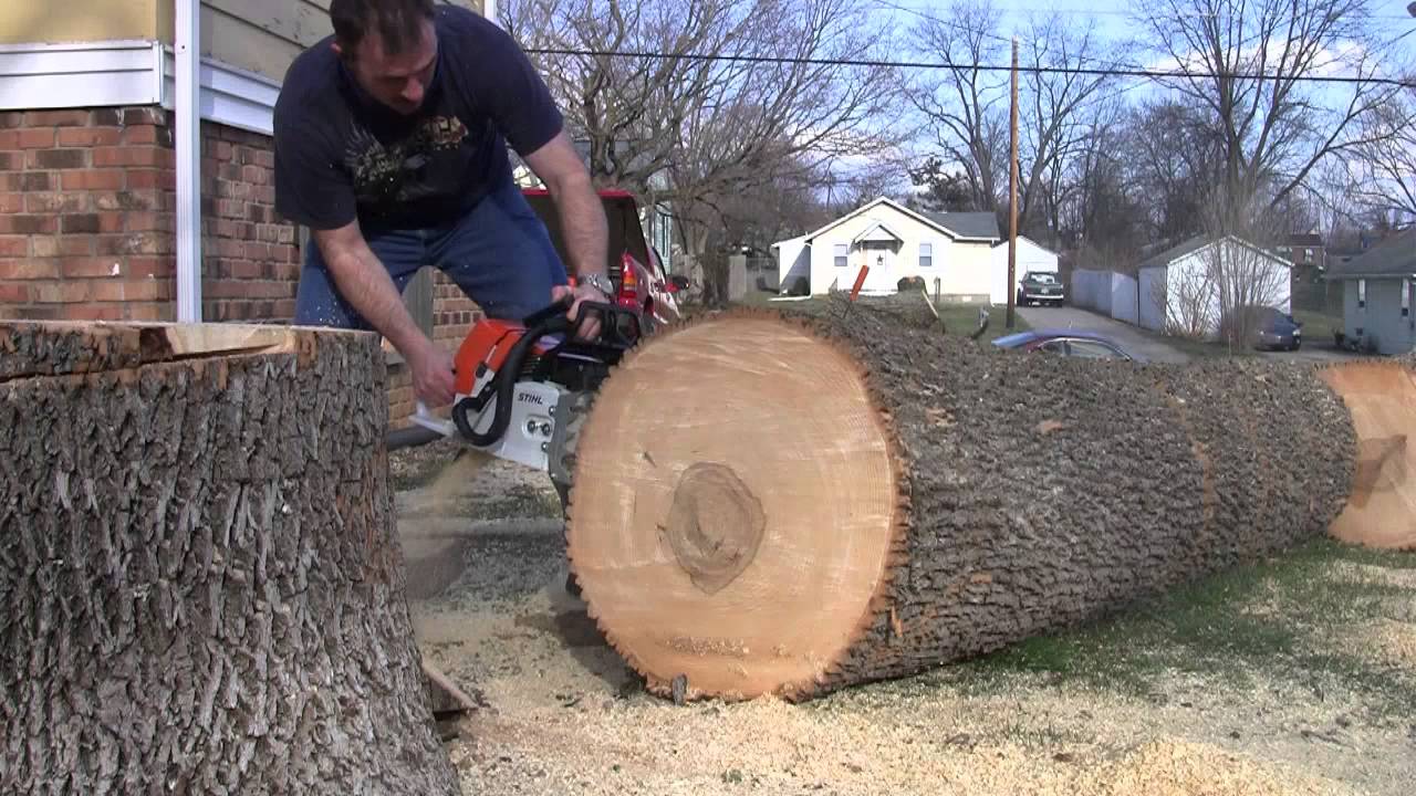 STIHL MS 461 20\