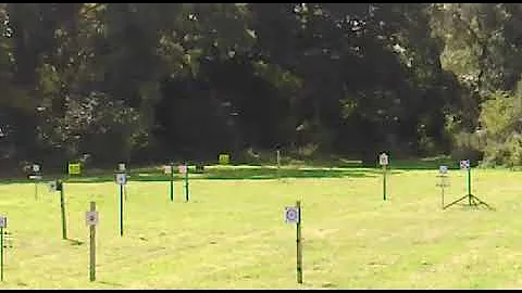 FIREBIRD exploding targets 10 in 1