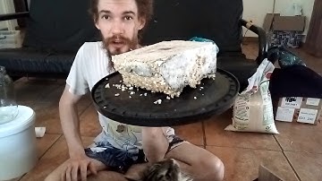 Collection and Storage of Indigenous Microorganisms (KNF IMO 1 & 2)