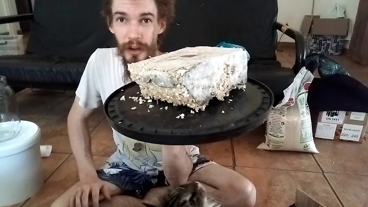 Collection and Storage of Indigenous Microorganisms (KNF IMO 1 & 2)