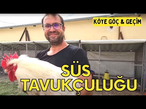 Video: Süs Çimlerini Bölme – Süs Otlarını Nasıl ve Ne Zaman Bölmeli